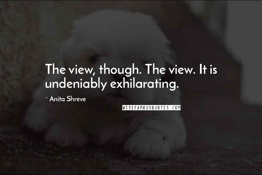 Anita Shreve Quotes: The view, though. The view. It is undeniably exhilarating.