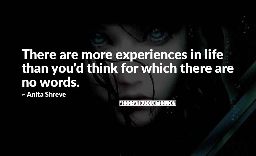 Anita Shreve Quotes: There are more experiences in life than you'd think for which there are no words.