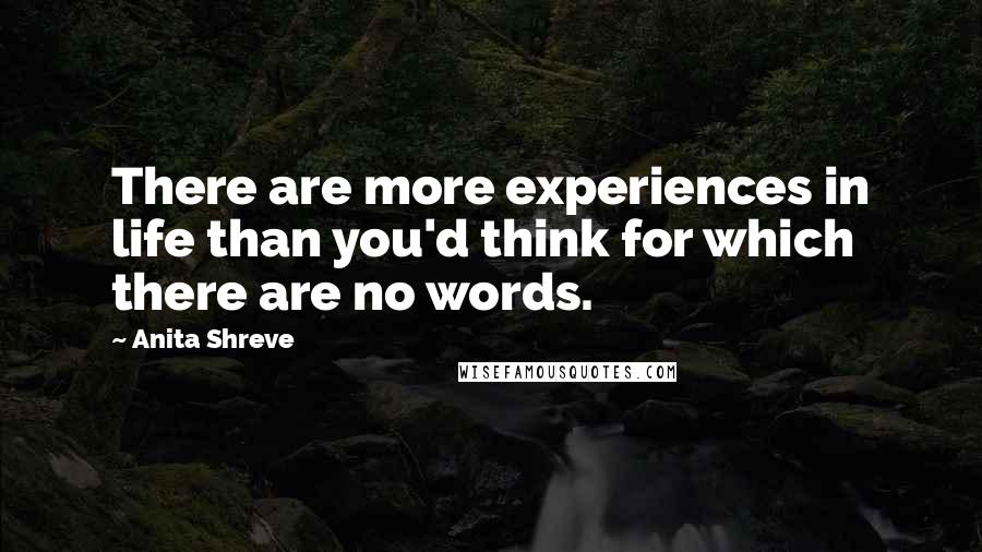 Anita Shreve Quotes: There are more experiences in life than you'd think for which there are no words.