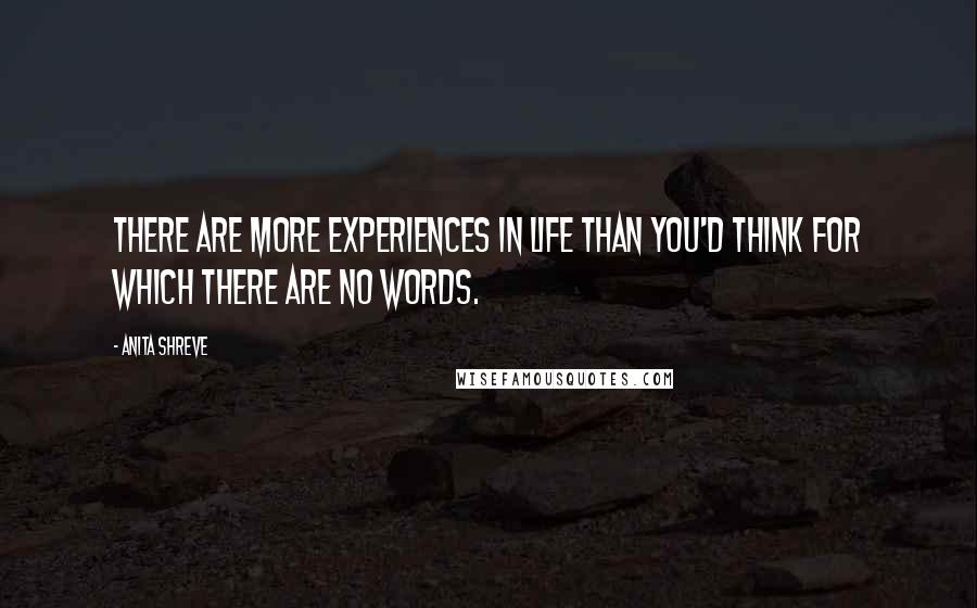 Anita Shreve Quotes: There are more experiences in life than you'd think for which there are no words.