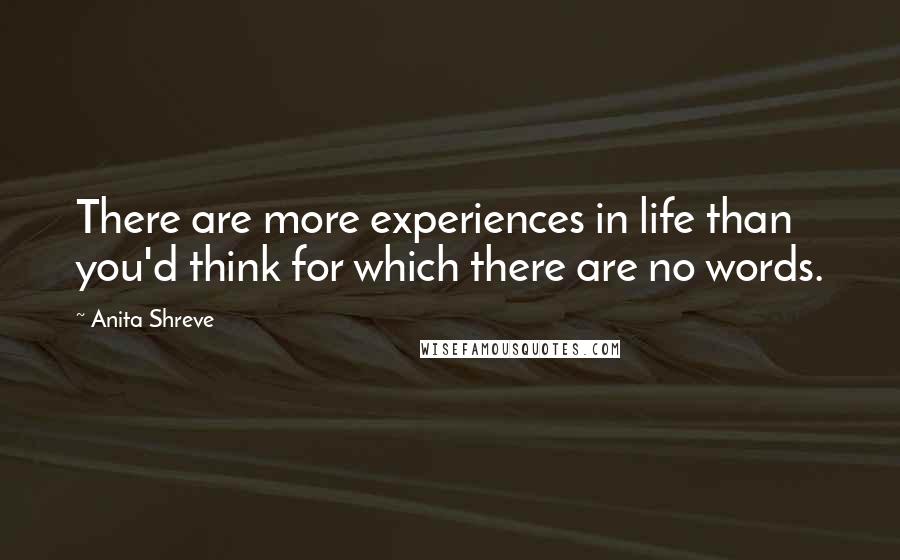 Anita Shreve Quotes: There are more experiences in life than you'd think for which there are no words.