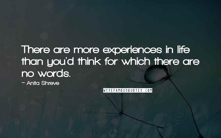 Anita Shreve Quotes: There are more experiences in life than you'd think for which there are no words.