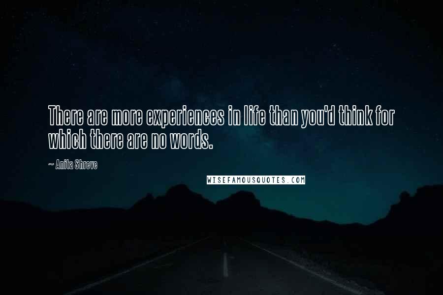 Anita Shreve Quotes: There are more experiences in life than you'd think for which there are no words.