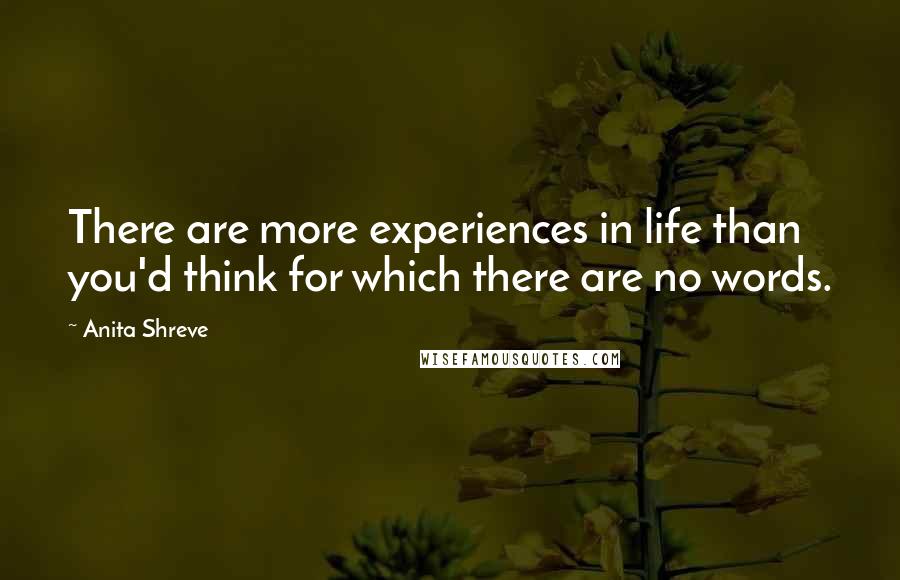 Anita Shreve Quotes: There are more experiences in life than you'd think for which there are no words.