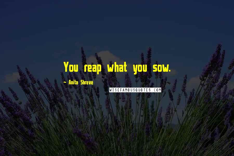 Anita Shreve Quotes: You reap what you sow.