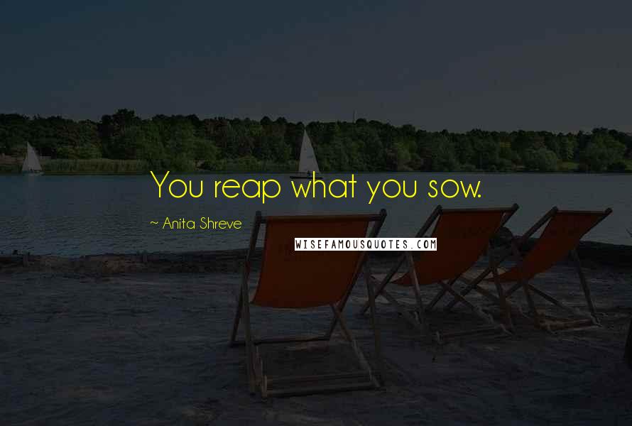 Anita Shreve Quotes: You reap what you sow.