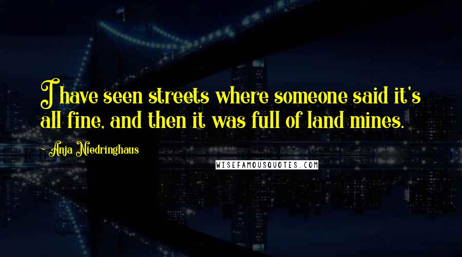 Anja Niedringhaus Quotes: I have seen streets where someone said it's all fine, and then it was full of land mines.