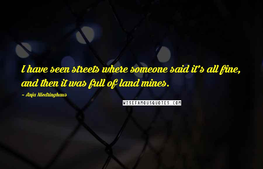 Anja Niedringhaus Quotes: I have seen streets where someone said it's all fine, and then it was full of land mines.