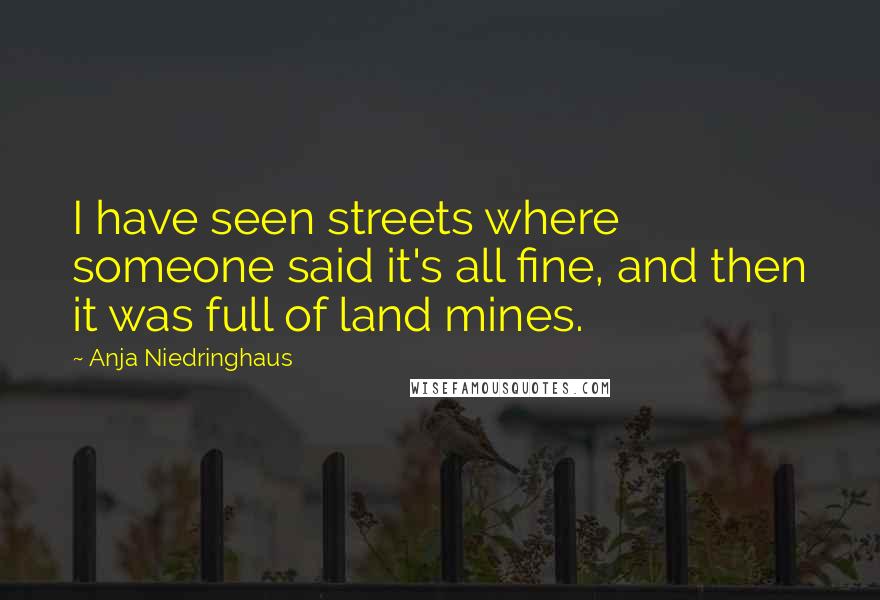 Anja Niedringhaus Quotes: I have seen streets where someone said it's all fine, and then it was full of land mines.