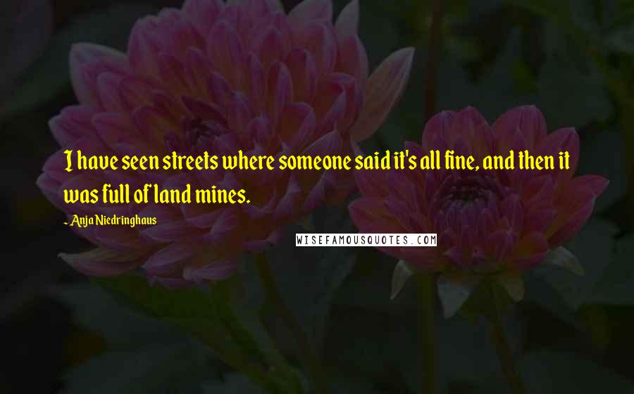 Anja Niedringhaus Quotes: I have seen streets where someone said it's all fine, and then it was full of land mines.
