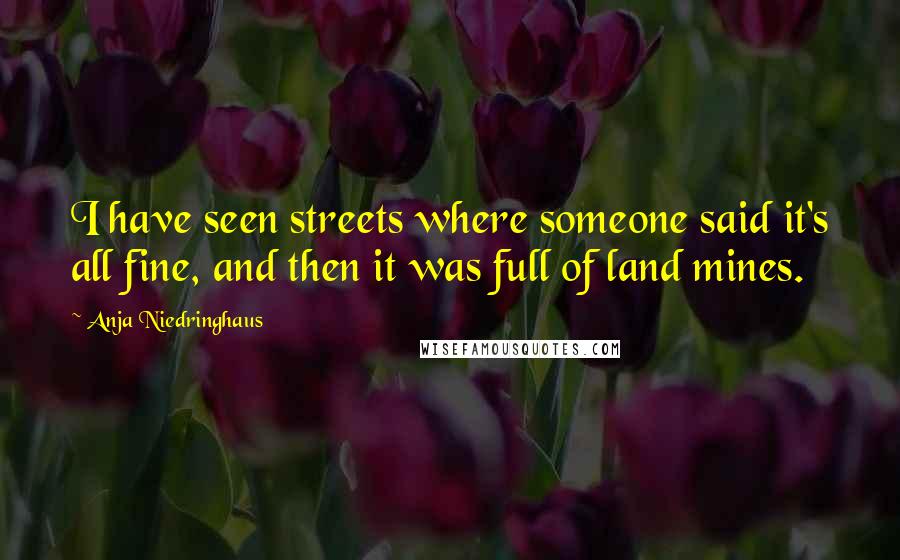 Anja Niedringhaus Quotes: I have seen streets where someone said it's all fine, and then it was full of land mines.