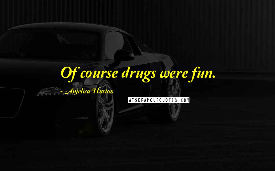 Anjelica Huston Quotes: Of course drugs were fun.