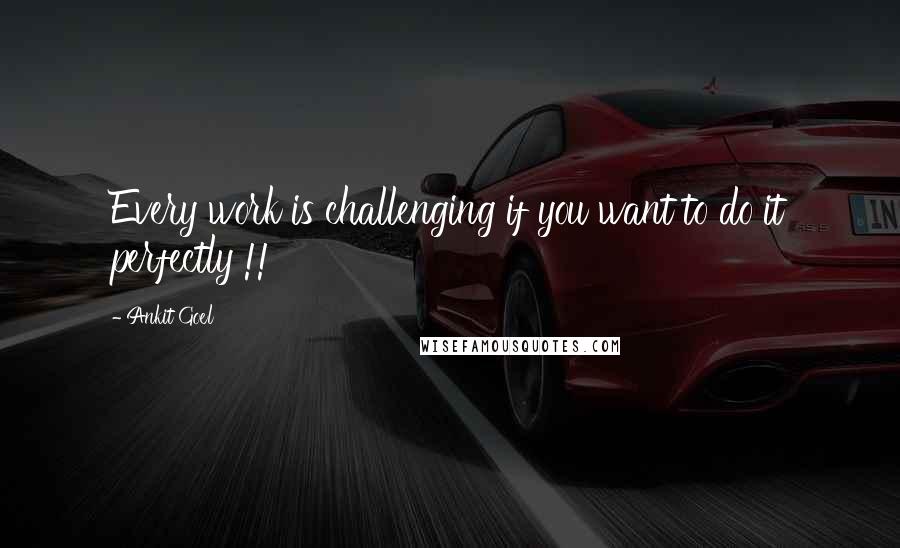 Ankit Goel Quotes: Every work is challenging if you want to do it perfectly !!
