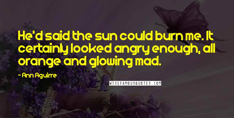 Ann Aguirre Quotes: He'd said the sun could burn me. It certainly looked angry enough, all orange and glowing mad.