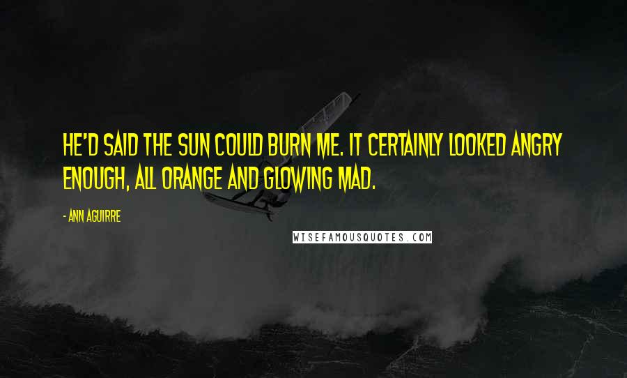 Ann Aguirre Quotes: He'd said the sun could burn me. It certainly looked angry enough, all orange and glowing mad.