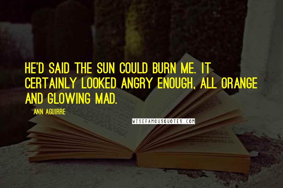 Ann Aguirre Quotes: He'd said the sun could burn me. It certainly looked angry enough, all orange and glowing mad.