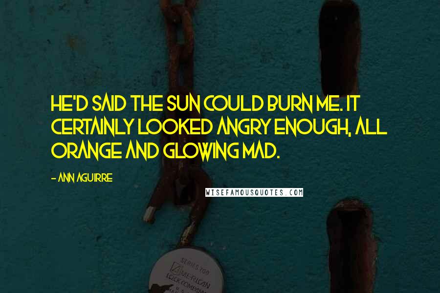 Ann Aguirre Quotes: He'd said the sun could burn me. It certainly looked angry enough, all orange and glowing mad.