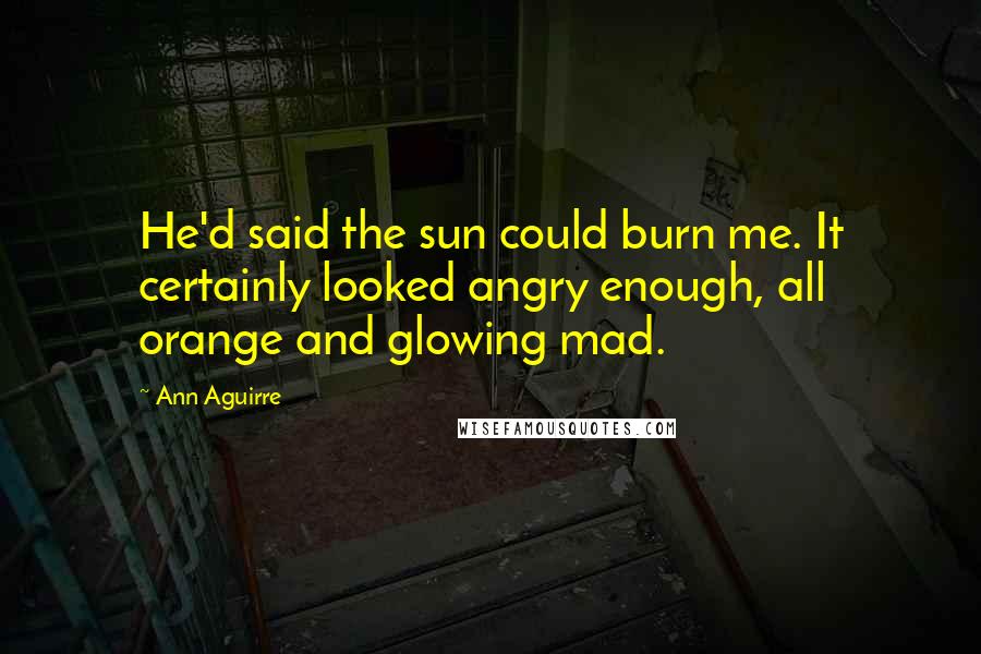 Ann Aguirre Quotes: He'd said the sun could burn me. It certainly looked angry enough, all orange and glowing mad.