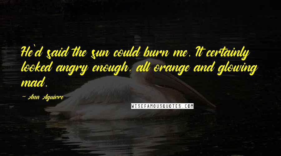 Ann Aguirre Quotes: He'd said the sun could burn me. It certainly looked angry enough, all orange and glowing mad.