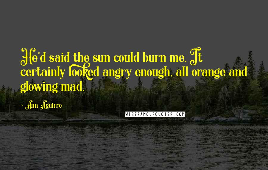 Ann Aguirre Quotes: He'd said the sun could burn me. It certainly looked angry enough, all orange and glowing mad.