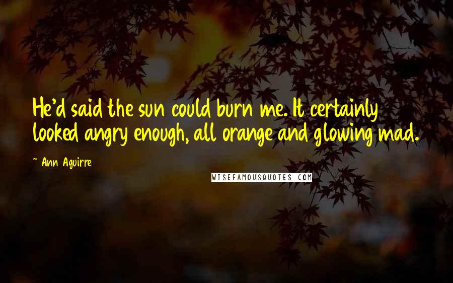 Ann Aguirre Quotes: He'd said the sun could burn me. It certainly looked angry enough, all orange and glowing mad.
