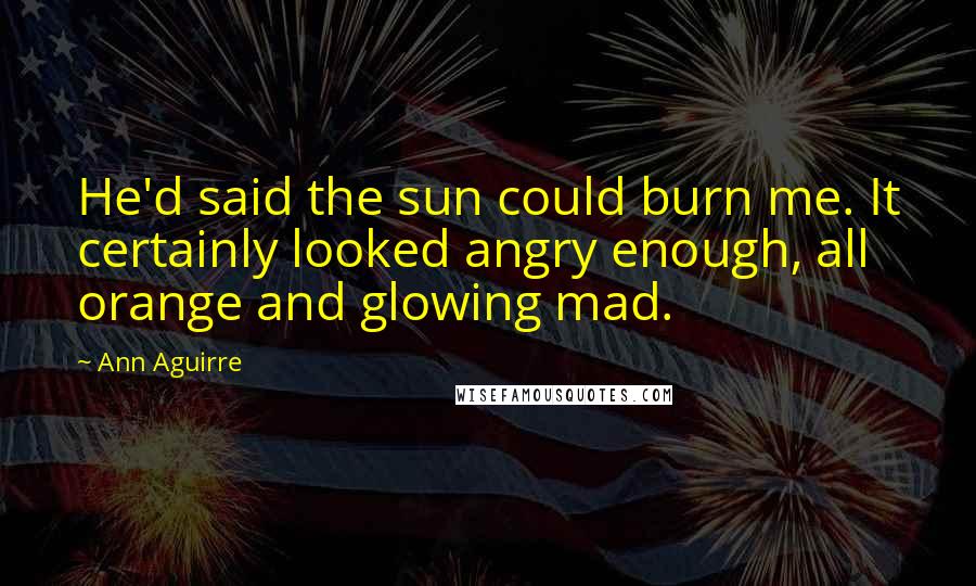 Ann Aguirre Quotes: He'd said the sun could burn me. It certainly looked angry enough, all orange and glowing mad.