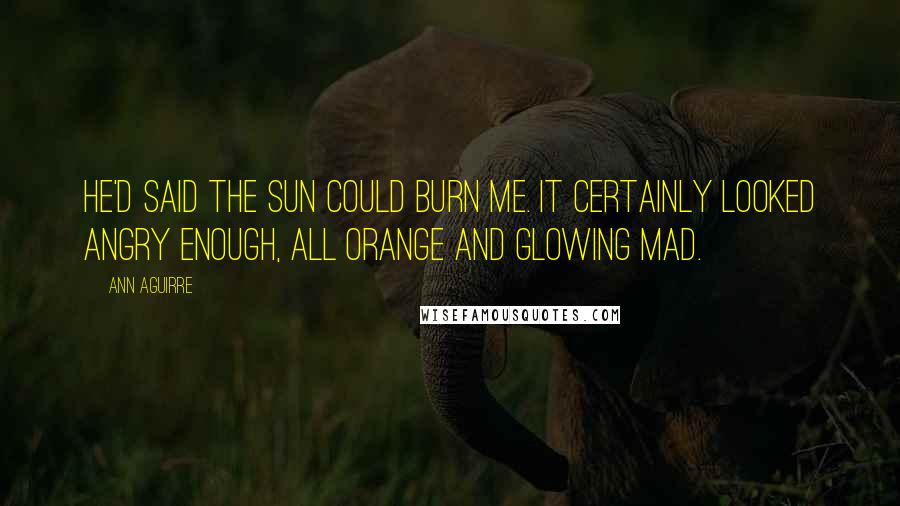 Ann Aguirre Quotes: He'd said the sun could burn me. It certainly looked angry enough, all orange and glowing mad.