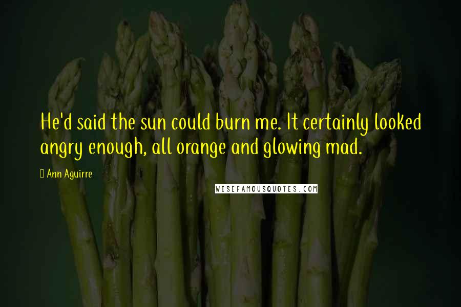 Ann Aguirre Quotes: He'd said the sun could burn me. It certainly looked angry enough, all orange and glowing mad.