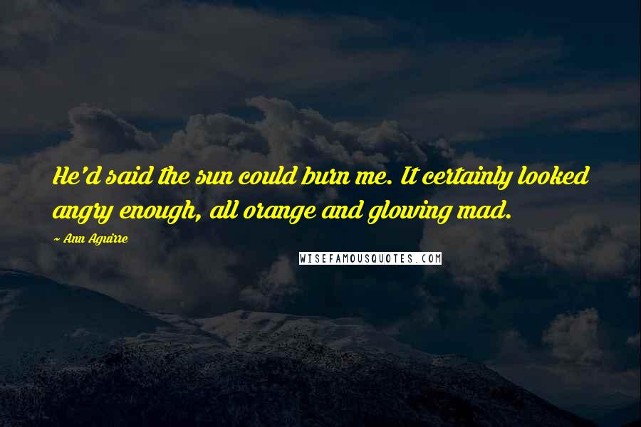 Ann Aguirre Quotes: He'd said the sun could burn me. It certainly looked angry enough, all orange and glowing mad.