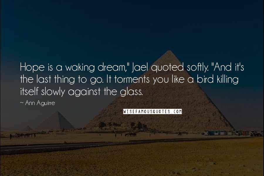 Ann Aguirre Quotes: Hope is a waking dream," Jael quoted softly. "And it's the last thing to go. It torments you like a bird killing itself slowly against the glass.