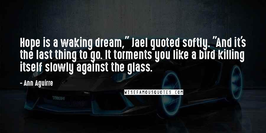 Ann Aguirre Quotes: Hope is a waking dream," Jael quoted softly. "And it's the last thing to go. It torments you like a bird killing itself slowly against the glass.