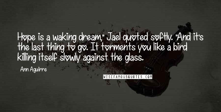 Ann Aguirre Quotes: Hope is a waking dream," Jael quoted softly. "And it's the last thing to go. It torments you like a bird killing itself slowly against the glass.