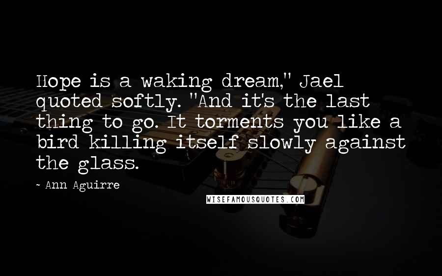 Ann Aguirre Quotes: Hope is a waking dream," Jael quoted softly. "And it's the last thing to go. It torments you like a bird killing itself slowly against the glass.