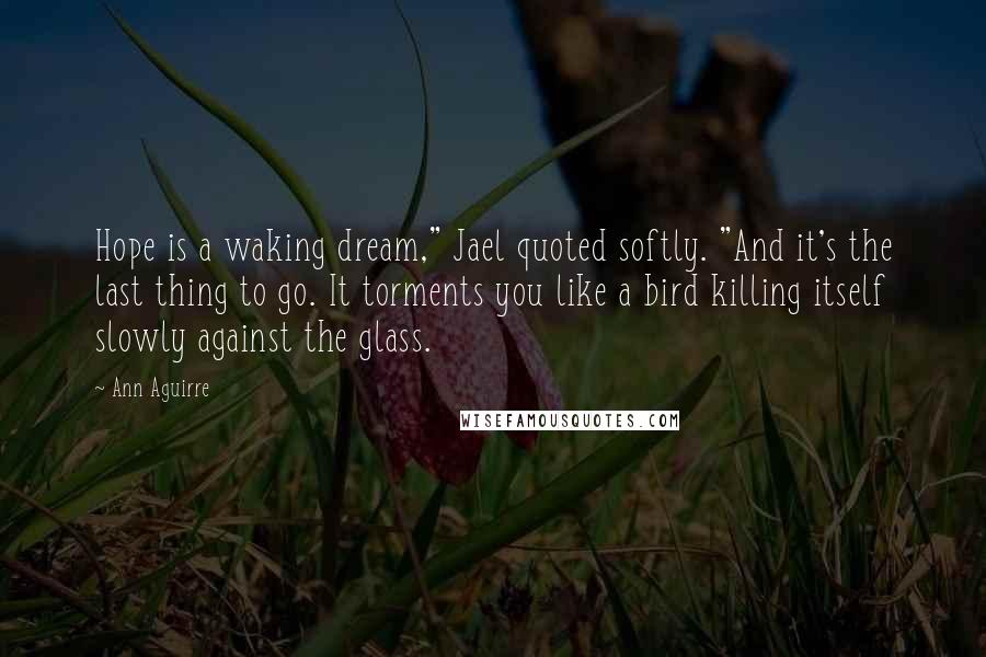 Ann Aguirre Quotes: Hope is a waking dream," Jael quoted softly. "And it's the last thing to go. It torments you like a bird killing itself slowly against the glass.
