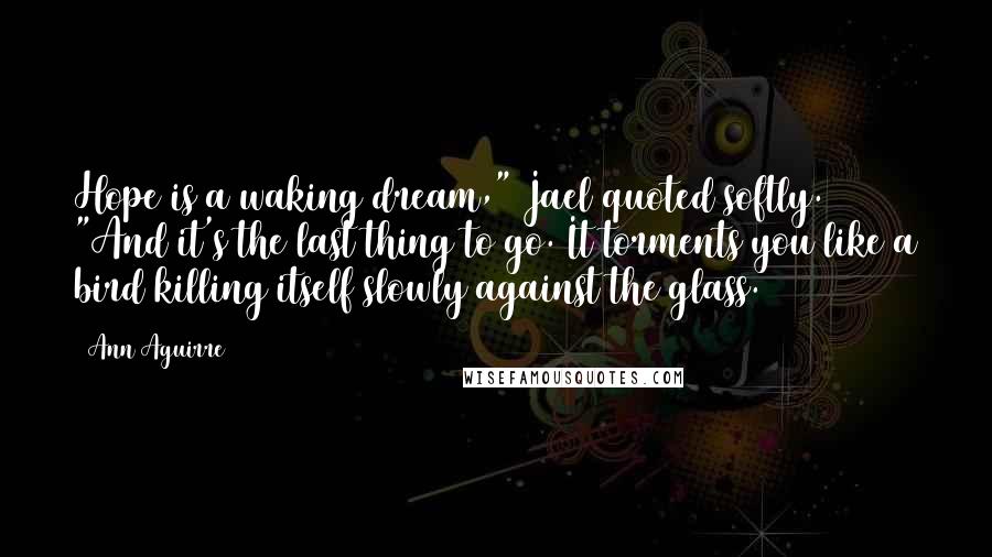 Ann Aguirre Quotes: Hope is a waking dream," Jael quoted softly. "And it's the last thing to go. It torments you like a bird killing itself slowly against the glass.