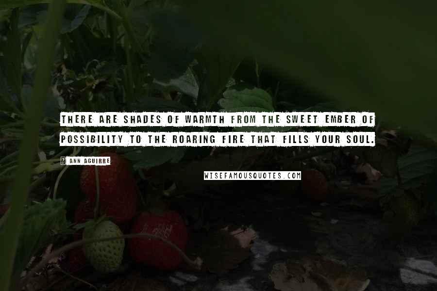 Ann Aguirre Quotes: There are shades of warmth from the sweet ember of possibility to the roaring fire that fills your soul.