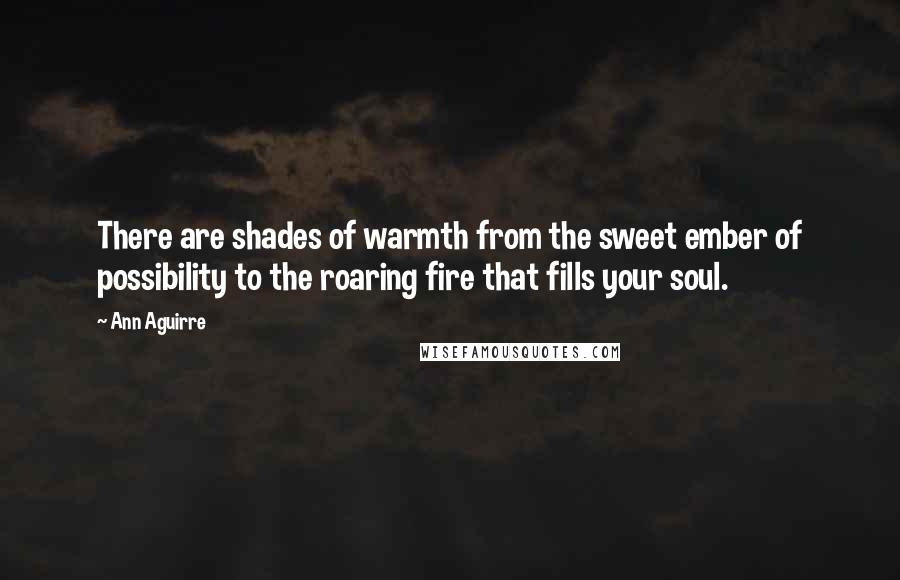 Ann Aguirre Quotes: There are shades of warmth from the sweet ember of possibility to the roaring fire that fills your soul.