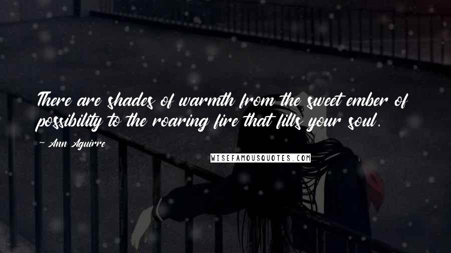 Ann Aguirre Quotes: There are shades of warmth from the sweet ember of possibility to the roaring fire that fills your soul.