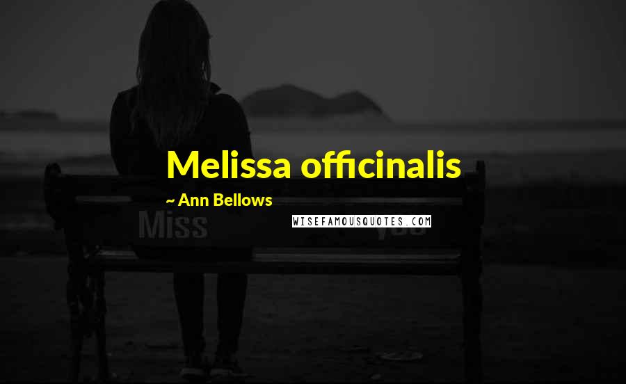 Ann Bellows Quotes: Melissa officinalis