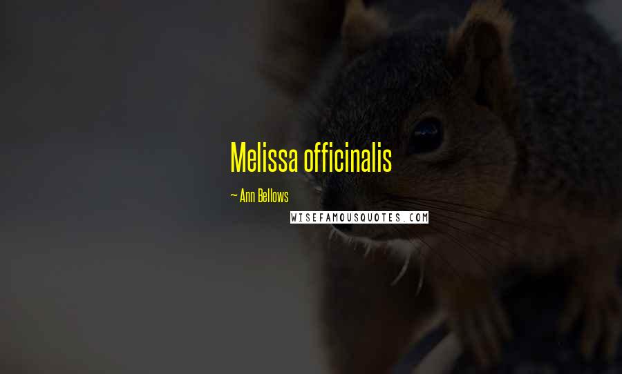 Ann Bellows Quotes: Melissa officinalis