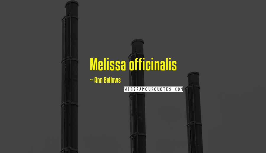 Ann Bellows Quotes: Melissa officinalis