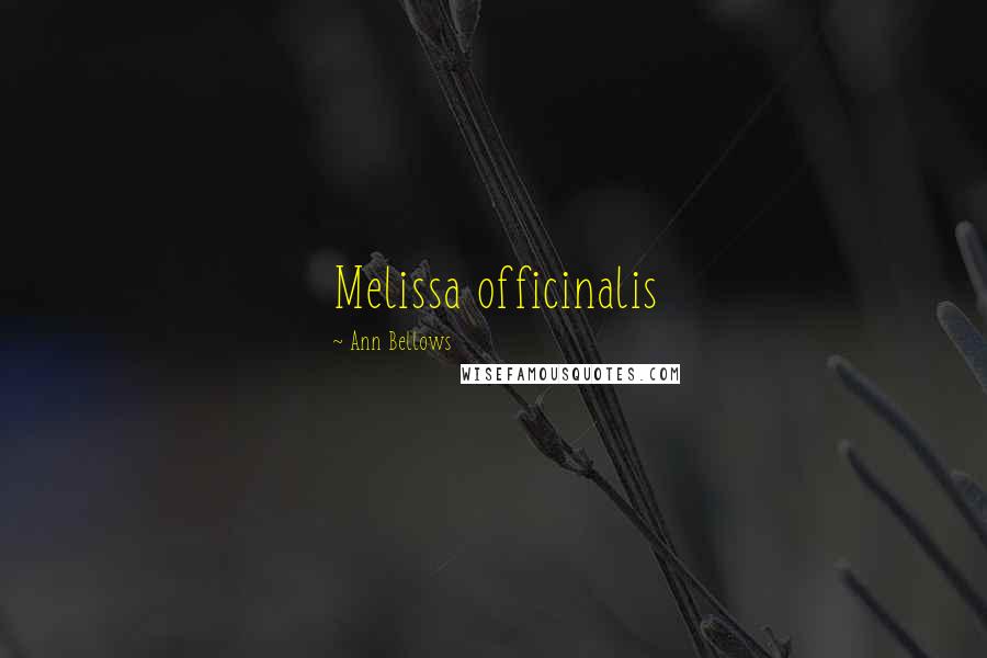 Ann Bellows Quotes: Melissa officinalis