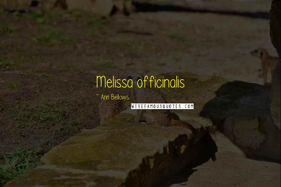 Ann Bellows Quotes: Melissa officinalis