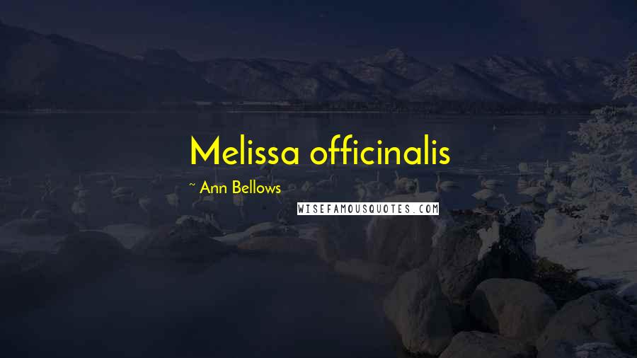 Ann Bellows Quotes: Melissa officinalis