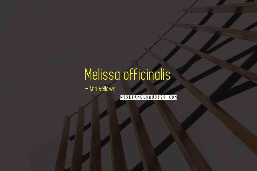 Ann Bellows Quotes: Melissa officinalis