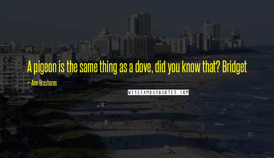 Ann Brashares Quotes: A pigeon is the same thing as a dove, did you know that? Bridget