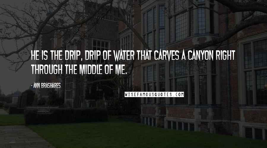 Ann Brashares Quotes: He is the drip, drip of water that carves a canyon right through the middle of me.