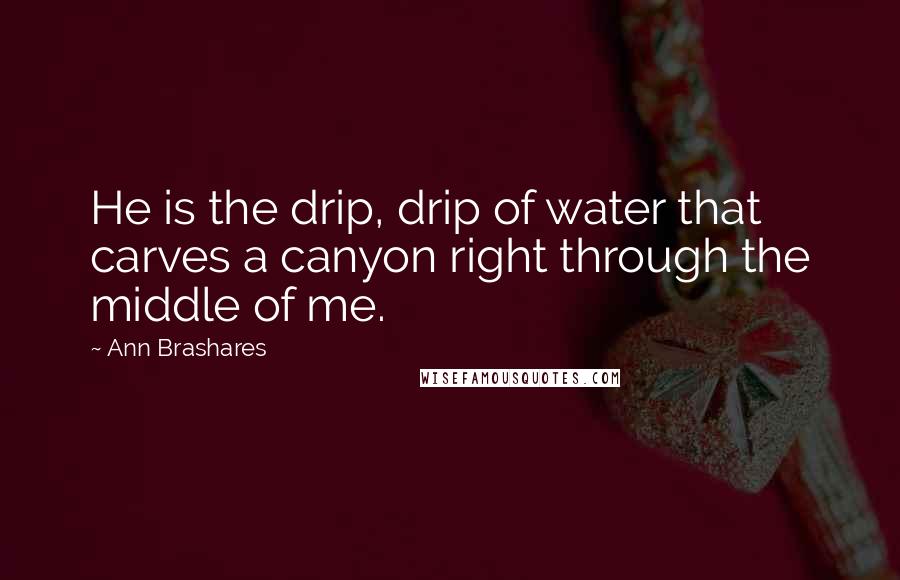 Ann Brashares Quotes: He is the drip, drip of water that carves a canyon right through the middle of me.