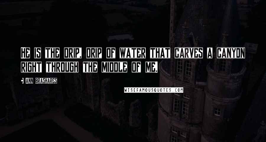 Ann Brashares Quotes: He is the drip, drip of water that carves a canyon right through the middle of me.
