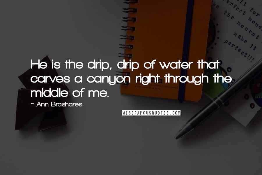 Ann Brashares Quotes: He is the drip, drip of water that carves a canyon right through the middle of me.